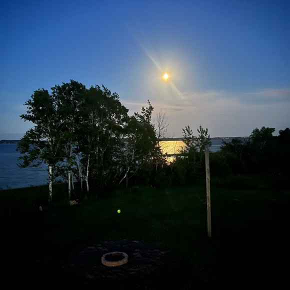 Meet your Posher, M - Picture 1 of 1